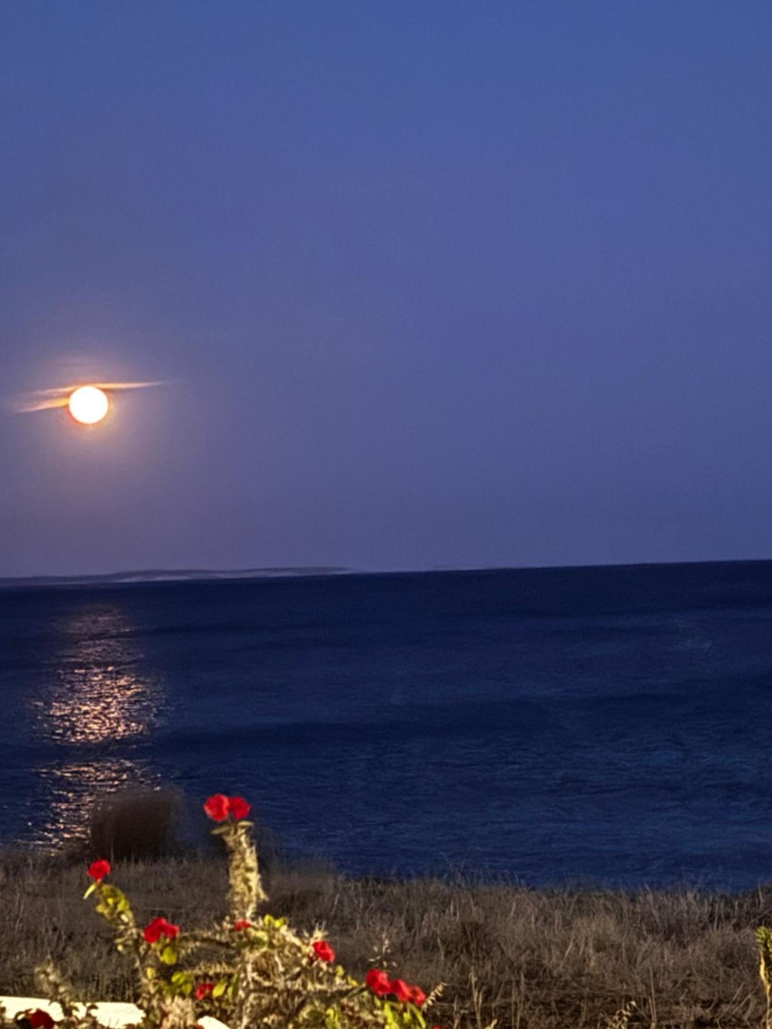 Makrýgialos Blue Sea Villa & Apartments المظهر الخارجي الصورة